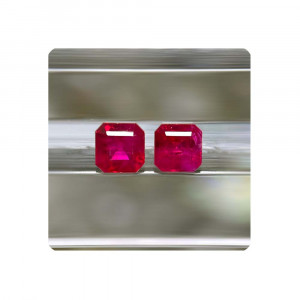 RZ1Q2108 HM 01