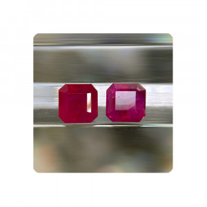 RZ1Q2118 SHM 01