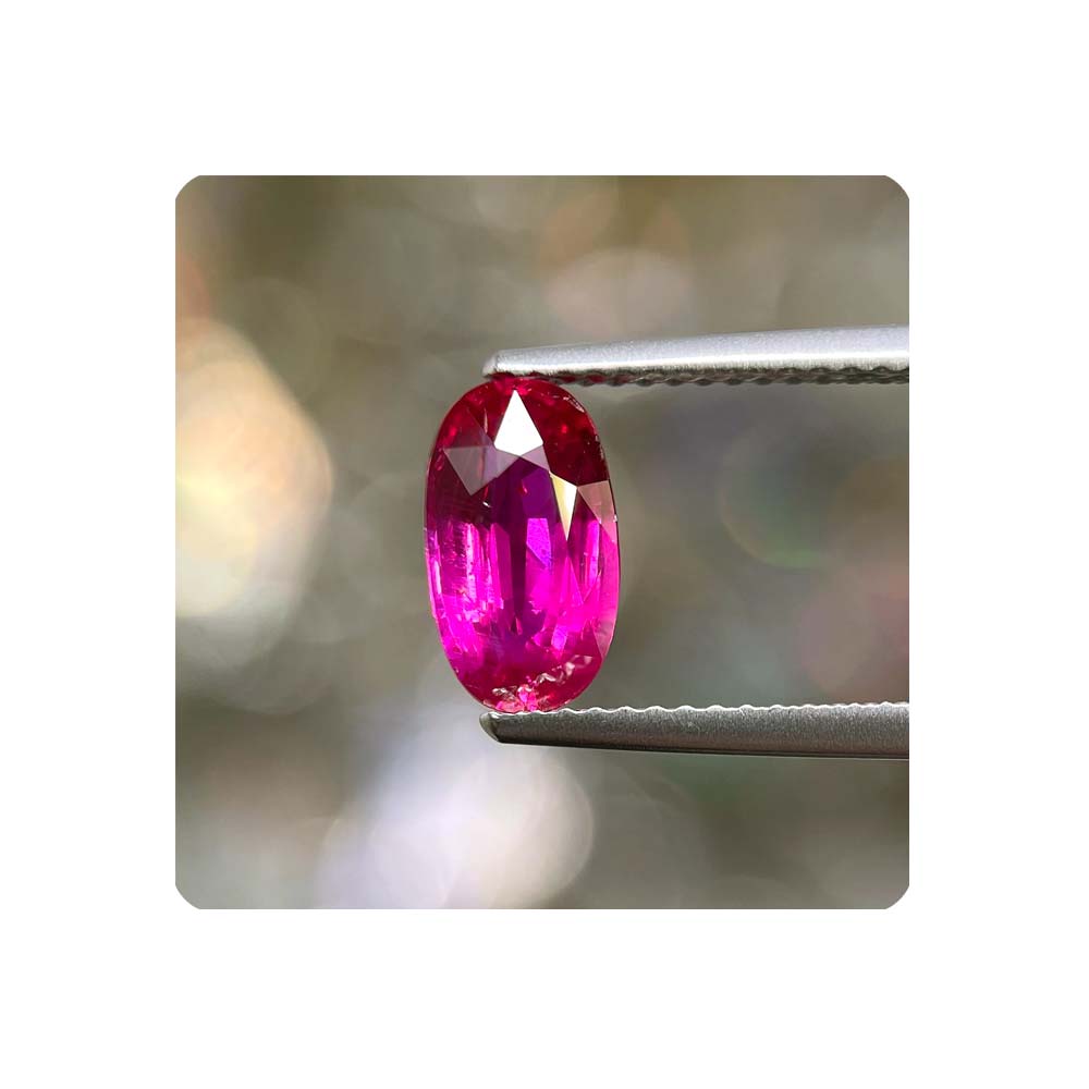 RX2OUM36 11.15 PAM 01