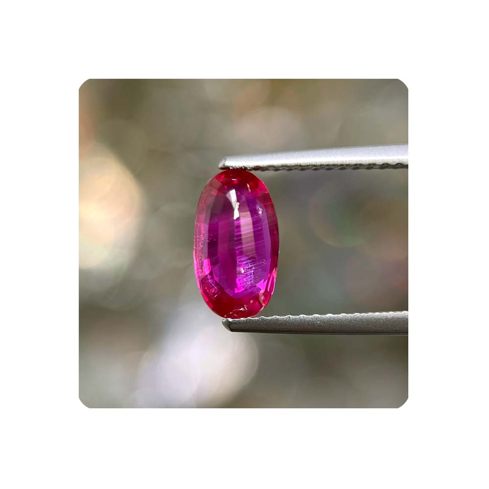 RX2OUM36 11.15 PAM 02